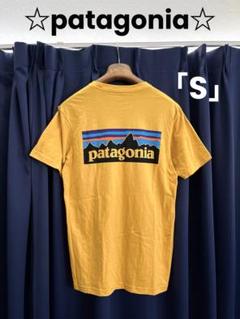 ☆patagoniaパタゴニア半袖プリントTシャツ定番バックロゴプリントS山吹色