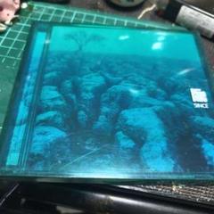 新品★未開封品★V系★R指定★愛國革命★CD★音源★ヴィジュアル系 新品☆未開封品☆V系☆R指定☆包帯男☆初回限定盤A☆CD☆音源