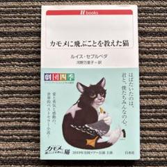 2025年最新】お願い猫ファミリーの人気アイテム - メルカリ