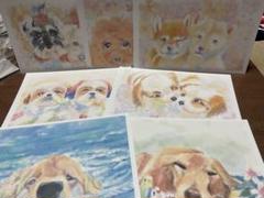 犬♦︎デジタルイラスト♦︎はがき7点
