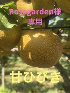 ⚠️ Rosegarden⚠️茨城県産　梨/甘ひびき　秀品/10キロ ⚠️ Rosegarden様専用⚠️茨城県産 梨 甘ひびき/秀品 10キロ