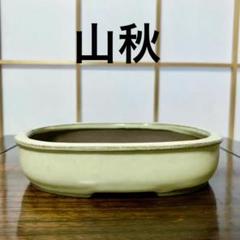 盆栽鉢 山秋の中古/未使用品 - メルカリ 盆栽鉢 山秋の中古/未使用品 - メルカリ