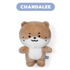 3点セット 新品未開封MINITEEN ぬいぐるみ ディノ chandalee 2025年最新】miniteen seventeen ディノの人気アイテム - メルカリ