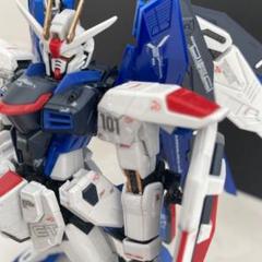 ガンプラ RG フリーダムガンダム 塗装済完成品