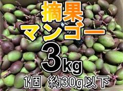 摘果マンゴー3/11② 2025年最新】摘果マンゴー 3kgの人気アイテム - メルカリ