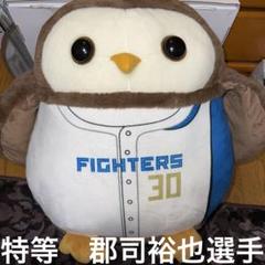 2025年最新】ファイターズくじの人気アイテム - メルカリ