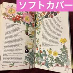 ❤️ てん 58⑧ハーブの図鑑 洋書 古書 ボタンニカルアート ❤️定番①❤️イギリス植物図鑑 洋書古書 ボタンニカルアート