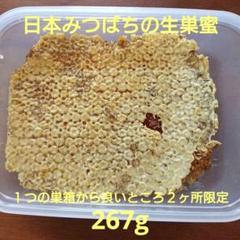 日本みつばち採りたて(生巣蜜)491g+457gコムハニー 幻の生蜂蜜 267g 巣蜜 コムハニー - メルカリ