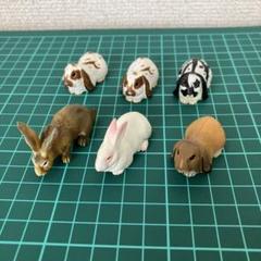 2025年最新】チョコエッグ動物の人気アイテム - メルカリ