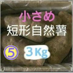天然自然薯　(折れ)　1・3kg 自然薯