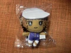 2025年最新】おきがえぬいぐるみ 甲斐の人気アイテム - メルカリ