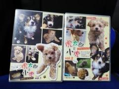 [国内盤DVD] 虎太郎と小虎　Vol.1＆Vol.2　2本セット