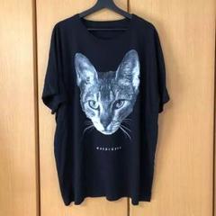 黒夢 清春 BIG-T 