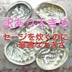 2025年最新】アワビシェルの人気アイテム - メルカリ