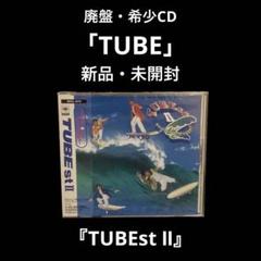新品・未開封　チューブ/チューベスト2