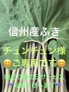 信州産　天然ふき　お箱混み約 一キロ宅急便コンパクト 信州産天然ふき お箱混み一キロ 宅急便コンパクト - メルカリ