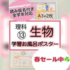 【★2024受験】【理科平常1年分】Sapix4年 理科 平常テキスト一式 2025年最新】サピックス理科教材の人気アイテム - メルカリ