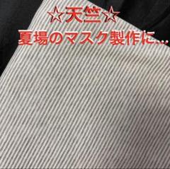 250E☆天竺ニット☆ボーダー柄☆グレー系☆