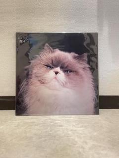 2025年最新】カネコアヤノ レコードの人気アイテム - メルカリ