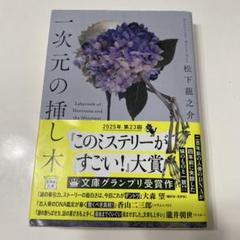 一次元の挿し木　文庫