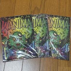 WANIMA サイン入り クリアファイル WANIMA メンバー直筆サイン入りクリアファイル ミュージシャン