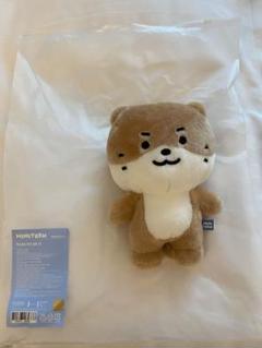 Amazon.co.jp: SEVENTEEN ミニティーン アクキー ディノ