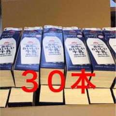 牛乳パック 30個セット 未解体 椅子 ハンドメイド 工作 DIY 夏休み 研究
