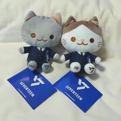 SEVENTEEN - seventeen セブチ　ミーニー　ぬいぐるみ　セット SEVENTEEN ミーニードールセット