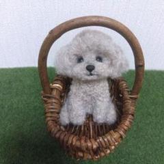 羊毛フェルト　トイプードル