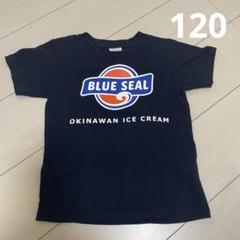 2025年最新】ブルーシール tシャツ キッズの人気アイテム - メルカリ