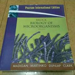 Brock微生物学　美品　廃盤品 Brock微生物学 / Madigan，Michael T