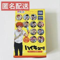 ハイキュー カラパレ 缶バッジ 全種セット - メルカリ