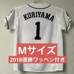 【美品】埼玉西武ライオンズ70周年ユニフォーム栗山巧選手Lサイズ応援タオルセット 埼玉西武ライオンズ (サイタマセイブライオンズ) 応援グッズ