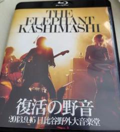 エレカシ　復活の野音 2013.9.15 日比谷野外大音楽堂 [Blu-ray]