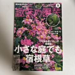 趣味の園芸 2024年9月号