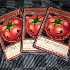 2025年最新】遊戯王ocgデュエルモンスターズ デュエルロワイヤル
