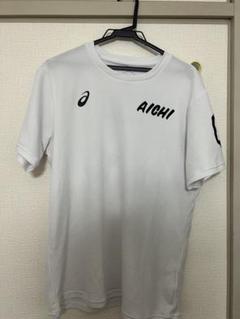 愛知選抜 愛知国体 ハンドボール Tシャツ