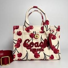 2025年最新】coach チェリー バッグの人気アイテム - メルカリ