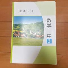 練成会 練成ワーク▪️入試対策テキスト▪️国語ワーク Amazon | 中2 練成会 テキスト ワーク 問題集 国語 高校入試
