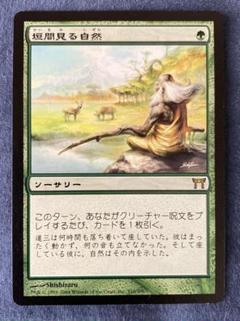 マジック：ザ・ギャザリング　垣間見る自然