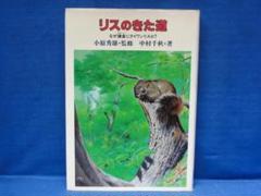 リスのきた道 なぜ鎌倉にタイワンリスか?　小原秀雄　中村千秋　大日本図書　初版