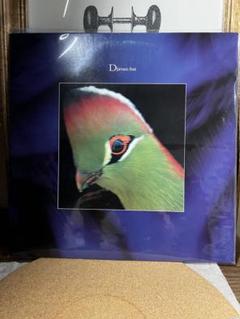 Diavan-luz アナログ12inch