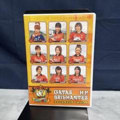 「GATAS BRILHANTES H.P. ファンクラブツアー in ハワイ