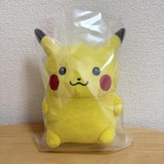【レア品】ナガノ ピカチュウ ぬいぐるみ ナガノ ピカチュウ マスコット ぬいぐるみ ※ちいかわブーム前頃