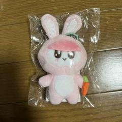 着ぐるみBONGBONG ボンボンイ ニンジン ウサギ 猫 ブタ 犬 ぬいぐるみ SEVENTEEN - 着ぐるみBONGBONG ボンボンイ ニンジン ウサギ 猫