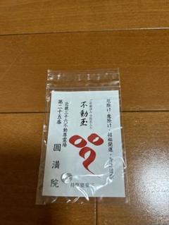 【美品】　西国三十六不動明王霊場 朱印軸　絹本　桐箱入り 不動明王】三十六不動尊霊場 | 松月堂 online store