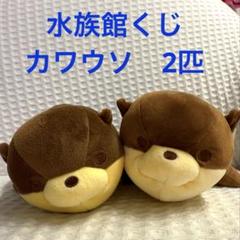 サンシャイン水族館　カワウソ　二等賞　ぬいぐるみ　新品　数量限定 カワウソ 2等 サンシャイン水族館 おまけ付き - メルカリ