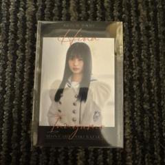 櫻坂46 稲熊ひな