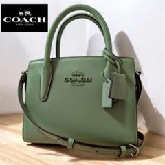 ✨未使用級✨ COACH コーチ アンドレア キャリーオール ショルダーバッグのサムネイル