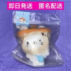 nct wish ユウシ ぬいぐるみ バブルニャン NCT WISH WISH DOLL ぬいぐるみ バブルニャン ユウシ - メルカリ